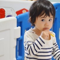 保育園から幼稚園に行くメリットとデメリット 転園の際の注意点は？